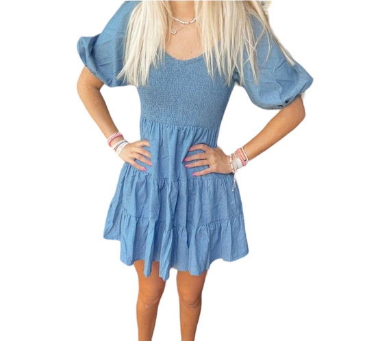 Chambray Charm Mini Dress